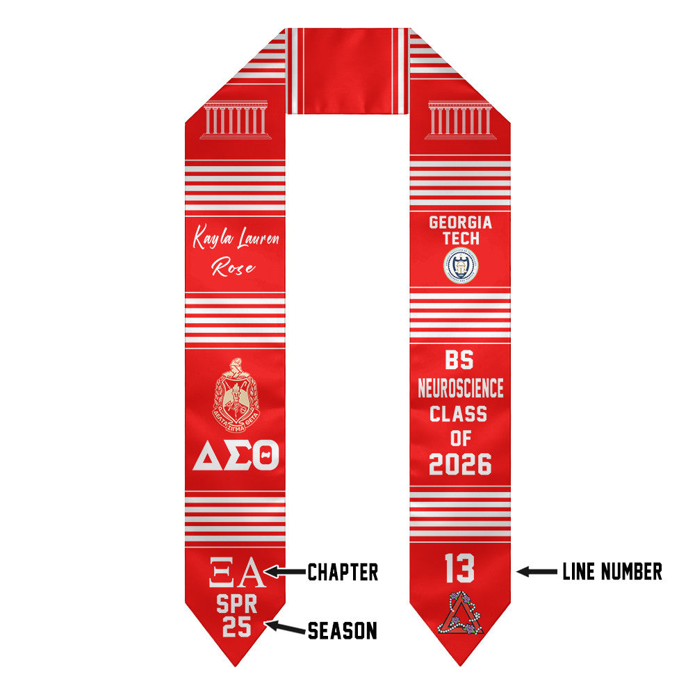 (Custom) Delta Sigma Theta Sorority Graduation Stole